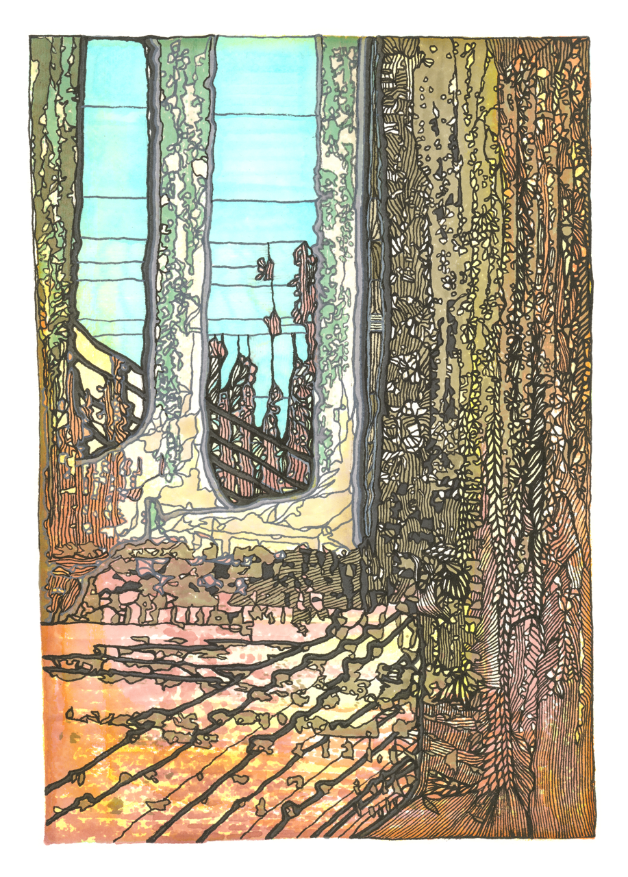 Vista