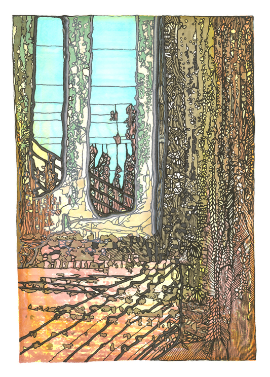 Vista
